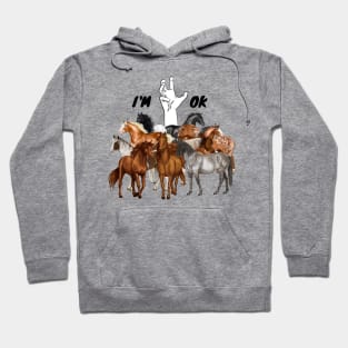 Full Of Horses I’m Ok Funny Horses Lover Hoodie